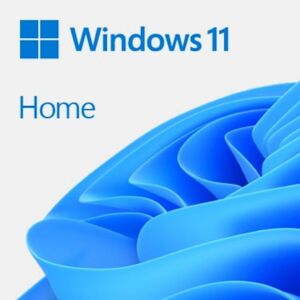 DSP Windows 11 Home 64bit, angleški