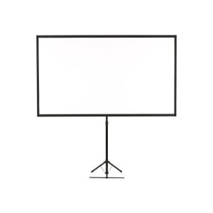 EPSON Mobile X-Type Screen