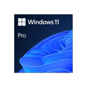 MS ESD Win Pro 11 64-bit
