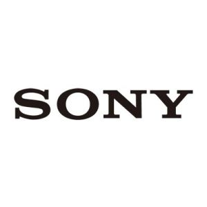 SONY WH-CH535 Wireless Headphones Mint