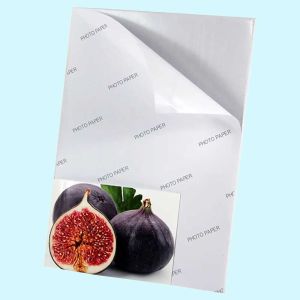 Samolepilni Matt Foto papir 120g, A4x50 listov za InkJet tiskalnike do resolucije 5760 dpi